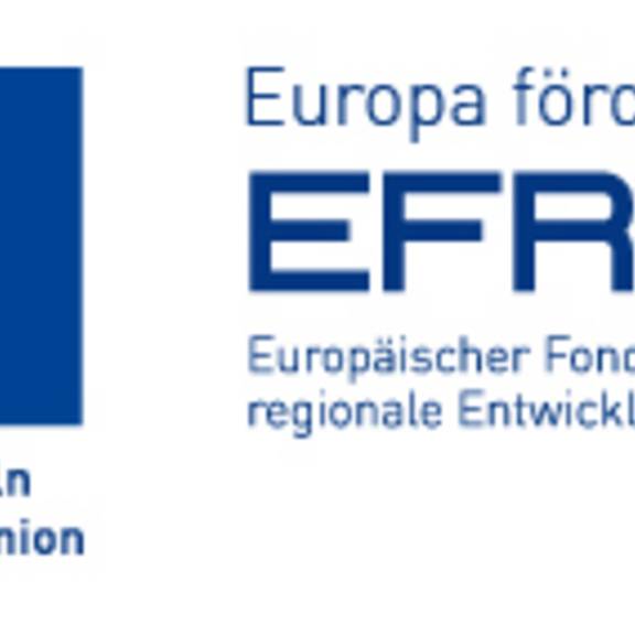 Logo: Sächsisches Staatsministerium für Wirtschaft, Arbeit und Verkehr - Verwaltungsbehörde EFRE