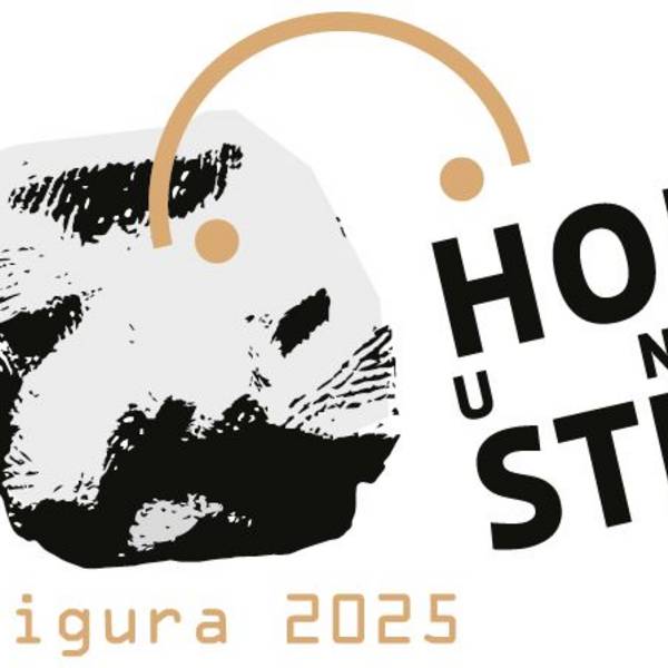 logo af 2025